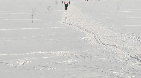 The people skiing in the winter Vidéo 36642197