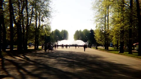 People slow park shadow background Stock Footage 89887328