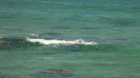 People snorkeling. Stock Footage 28881994