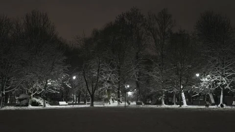 People in the Snow Park Stock Footage 228754198