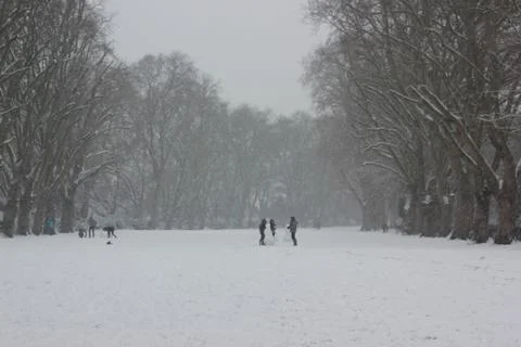 People in the snow 写真素材