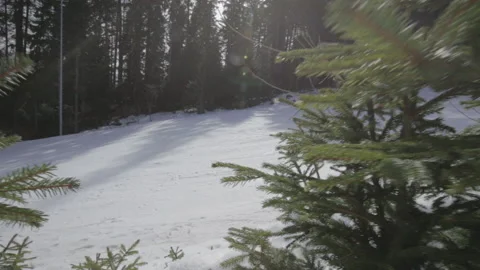 People snowboardning on a mountain Stock Footage 146132079