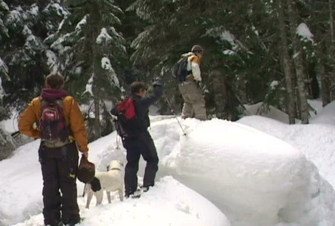 People in Snowshoes Stock Footage
