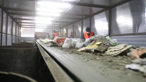 People sorts garbage on the conveyor Stock Footage 82054203
