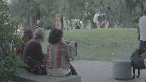 People spending time in a green park in Buenos Aires, Argentina Stock-Footage 345138080