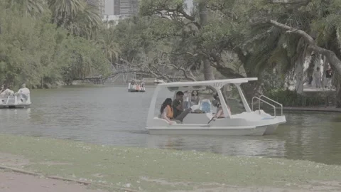 People spending time in a green park by the lake in Buenos Aires, Argentina Stock-Footage 345143251