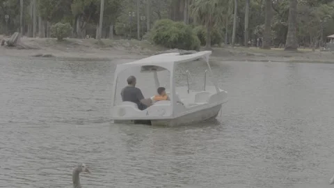People spending time at a lake in a park in Buenos Aires, Argentina Stock Footage 345140723