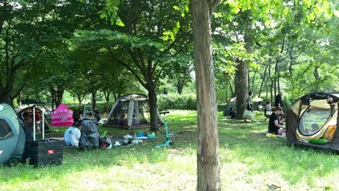 People spending time in a park Video stock 199969617
