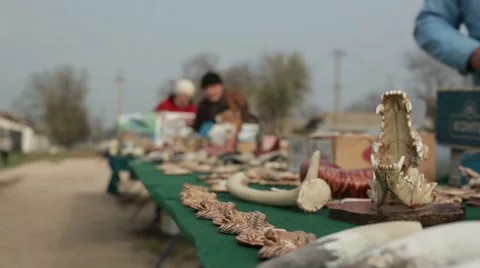 People Spread Souvenir Sets of Various Bones and Things on the Table Stock Footage 62509160