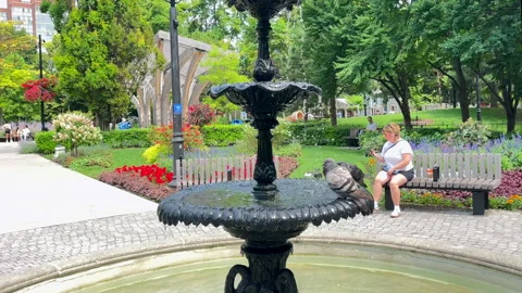 People In St. James Public Park Stock Footage 281164109