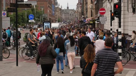 People stand on red light and wait for crossing traffic, cyclists pass by Stock Footage 130320113