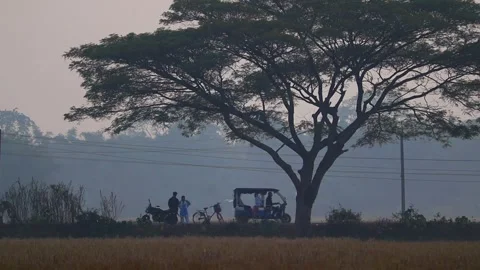 People standing with bicycles under a large tree in rural Assam, India Stock Footage 326988076