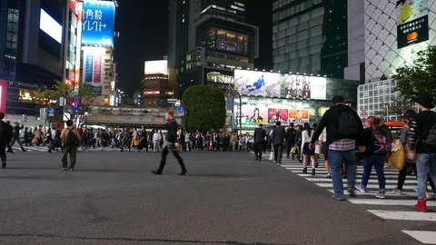 People start crossing Shibuya intersection, panorama on road and train, Tokyo Stock Footage 97953864