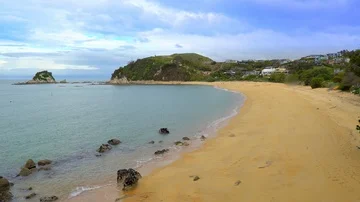 People strawling at the beach Stock Footage 85489831