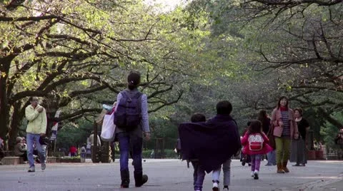 People Strolling In Ueno Park Stock Footage 12438544
