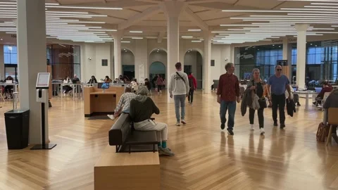People studying in the Melbourne state library Stock Footage 220663232