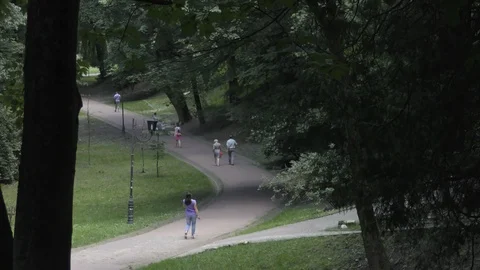 People in summer park at daylight Stock Footage 124809095