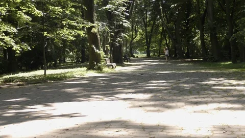 People in summer park at daylight Stock Footage 124809357