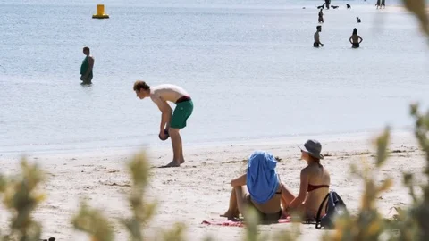 People sunbathing in the beach Stock Footage 82447135