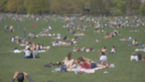 People sunbathing in Central Park Stock Footage 114246762