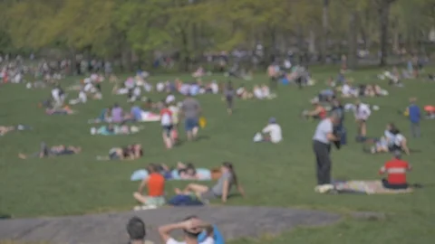 People sunbathing in Central Park Stock Footage 114246789