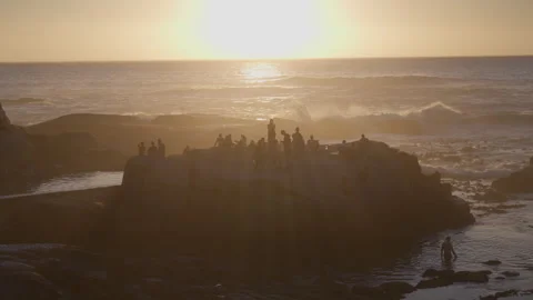 People Sunbathing at Saunders Rock Beach in Seapoint, Cape Town | Rec. 709 Video stock 308464410