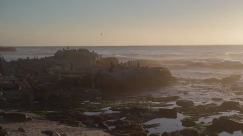 People Sunbathing at Saunders Rock Beach in Seapoint, Cape Town | Rec. 709 Stock Footage 308464708