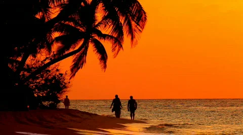 People at sunset medium Video stock 663361