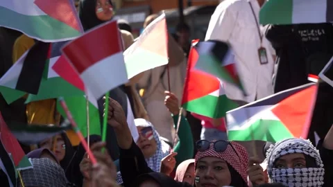 People support Palestine "Stop Genocidal War Crimes Cease Fire" Stock Footage 259678355