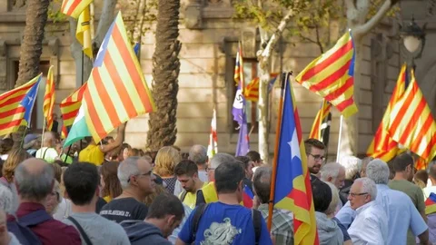 People supporting Independence and Referendum Stock Footage 80257604