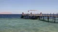 People Swimming Around Jetty in Red Sea HD Footage