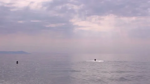 People swimming Stock-Footage 11858251