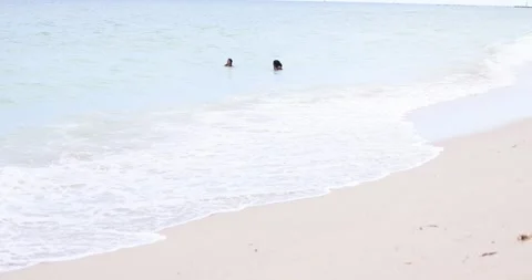 People swimming in warm ocean waters 스톡 동영상 242286853