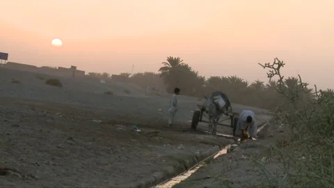 People taking contaminated water for use Stock Footage 202242564