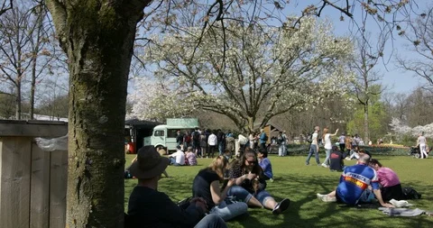 People taking a rest in shadow of blooming fruit trees at the Keukenhof Stock Footage 88659203