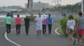 People taking their afternoon walk in the park in Panama 4k or 4k+ Resolution