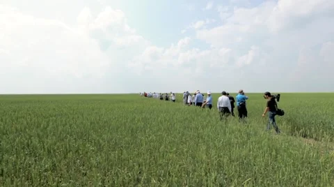 People taking a tour at wheat field Stock Footage 48769292