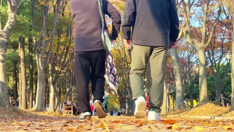 People taking a walk in a falling leaf park Stock Footage 291534147