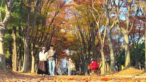 People taking a walk in a falling leaf park Stock Footage 291534158