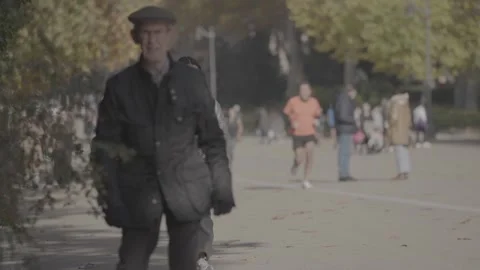People taking a walk in a park in Madrid, Spain Stock-Footage 345030662