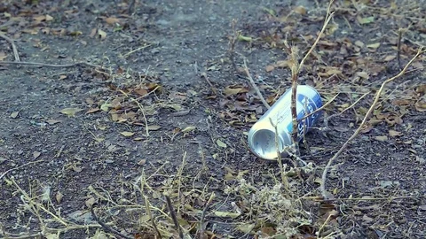 People throw bottles polluting the environment. Stock Footage 119154682