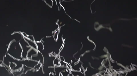 People throw paper tape Stock-Footage 68695183