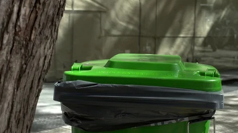 People throwing waste in the trash Stock Footage 81990161