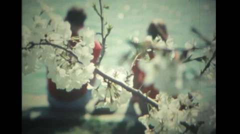 People at Tidal Basin in Washington DC Stock Footage 39885278