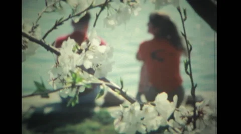 People at Tidal Basin in Washington DC Stock Footage