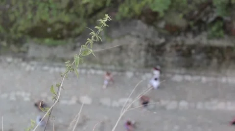 People - top view Stock Footage 41007495