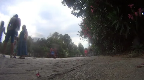 People traffic Stock Footage 39562511