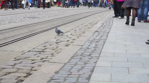 People at the Tram Stop. Stock Footage 56852415