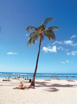 People by tree 写真素材