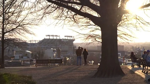 People Tree Sunset Stock Footage 75051108